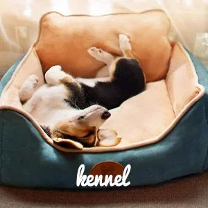 PetShedPro Garment Essentials Tool™