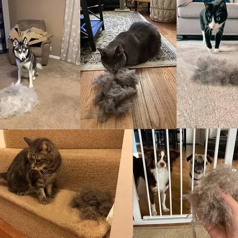 PetShedPro Garment Essentials Tool™